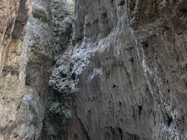 Burrone Giovanelli (4)