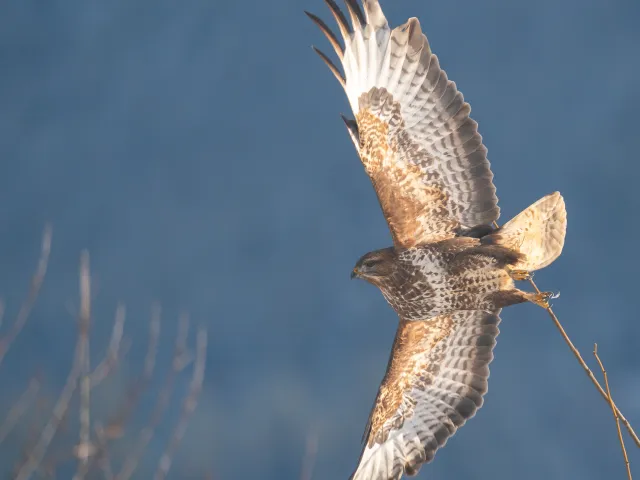 Abflug