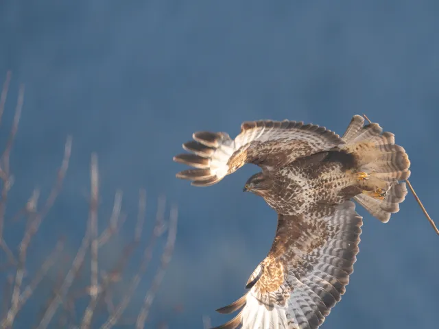 Abflug