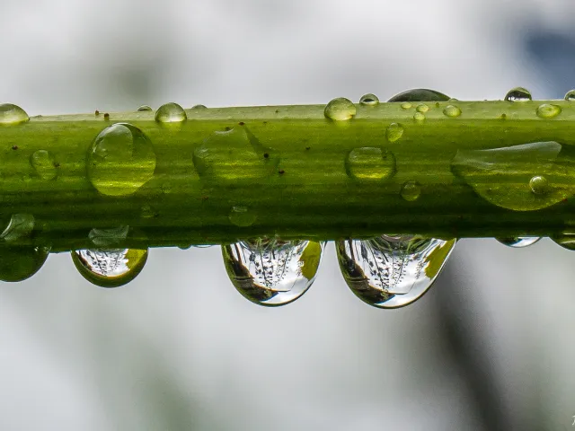 Wassertropfen.1