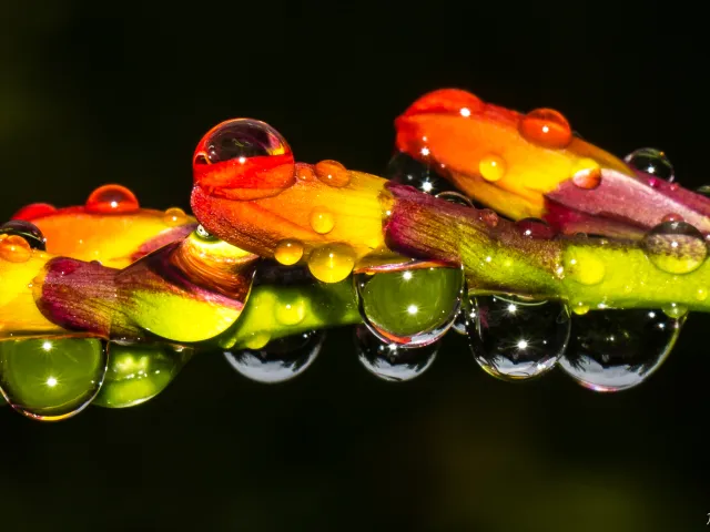 Wassertropfen