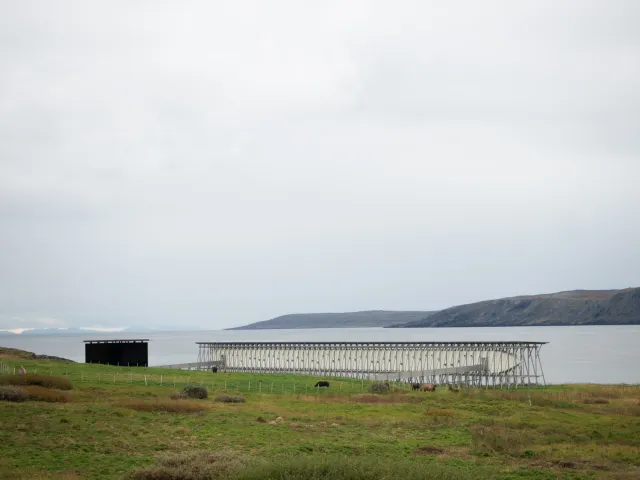 Steilneset Memorial