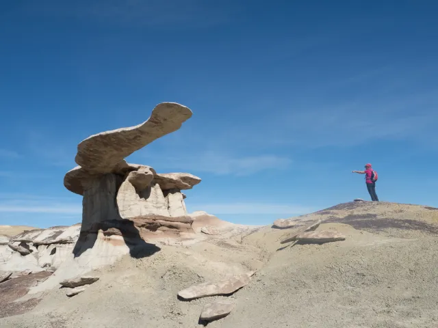 New Mexico