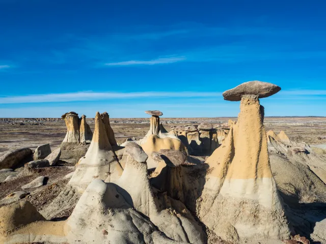 New Mexico