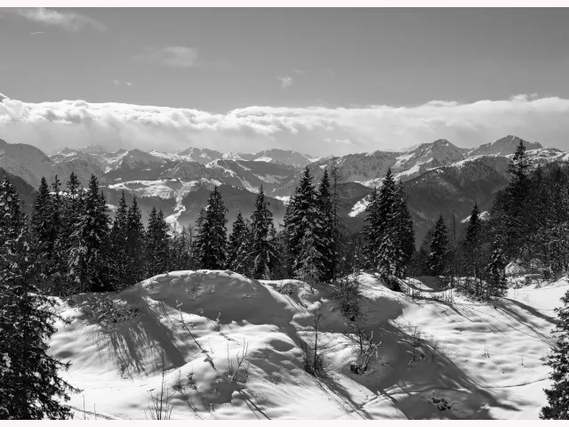 Tauernblick