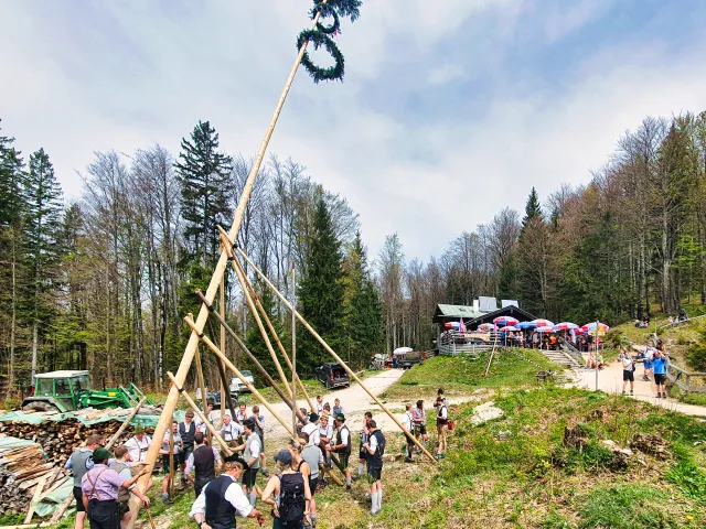 Maibaum