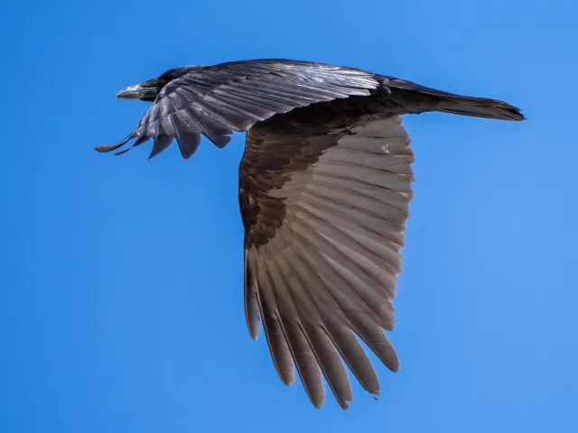 Im Vorbeiflug